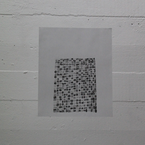 studie1